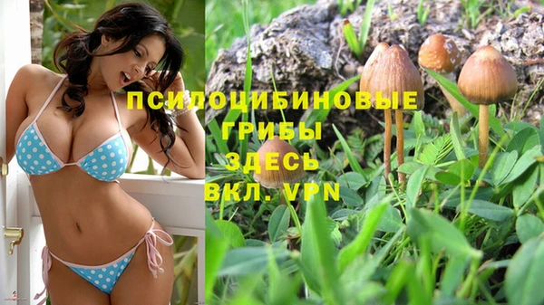 первитин Армянск